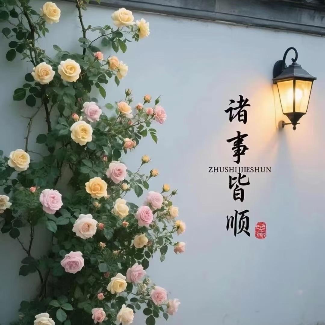 汐雅