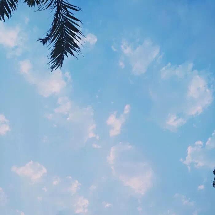 傅。