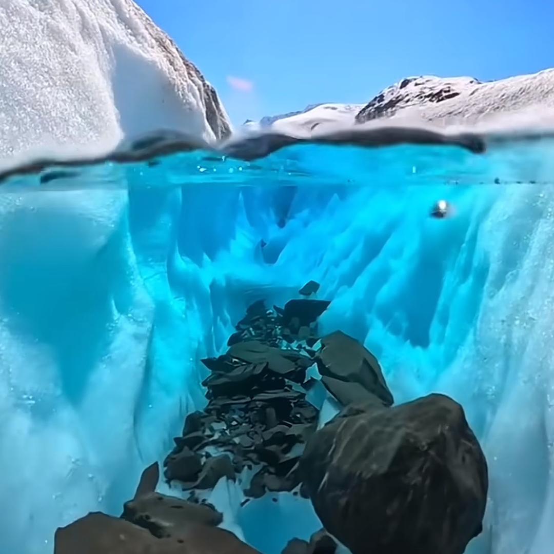 魏大大官