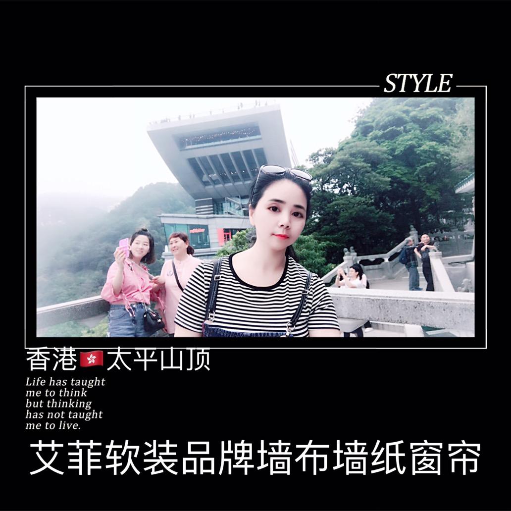 艾菲Aifeir软装成品窗帘墙布