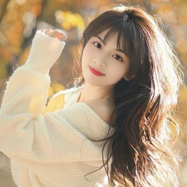 你的黑桃⁵⁸⁸