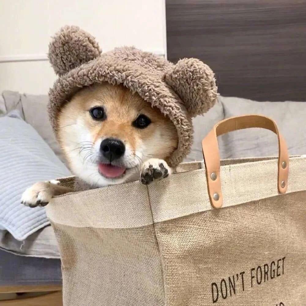 K小白