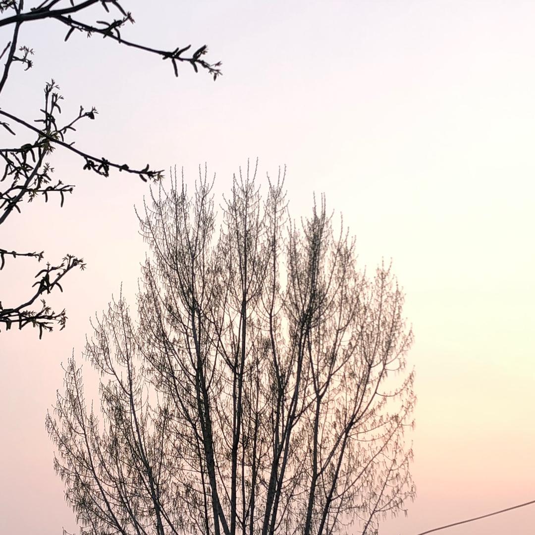 一个可爱的宝贝