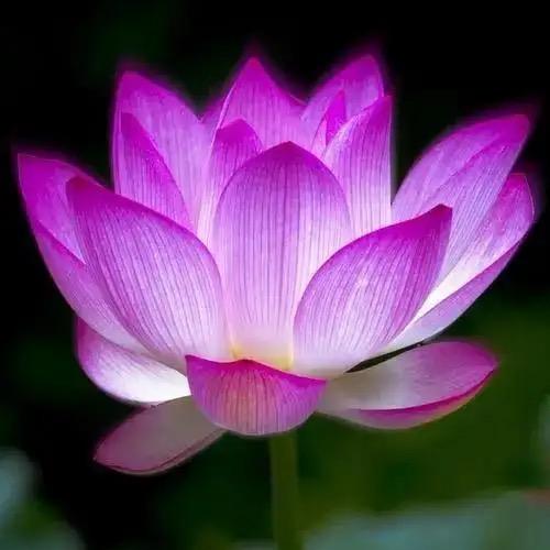 快乐的孩子