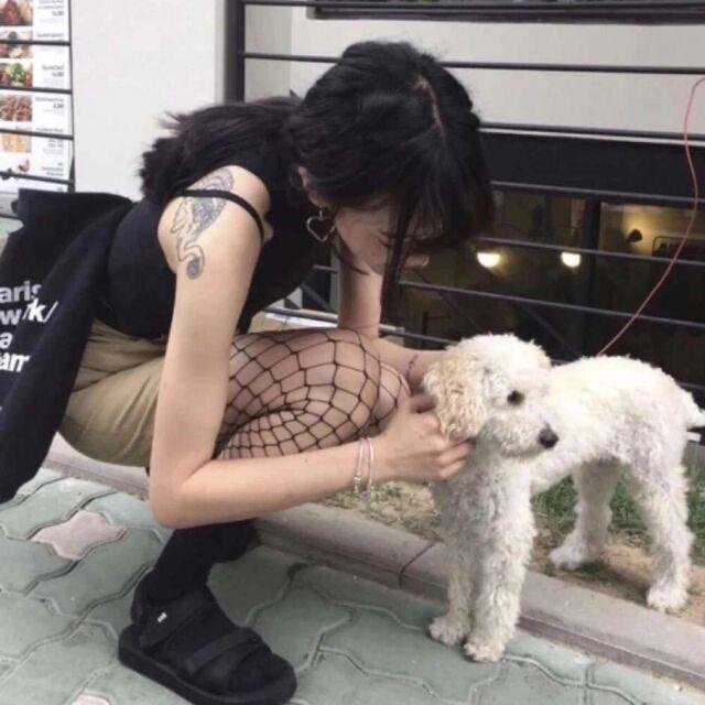众包小可❤️