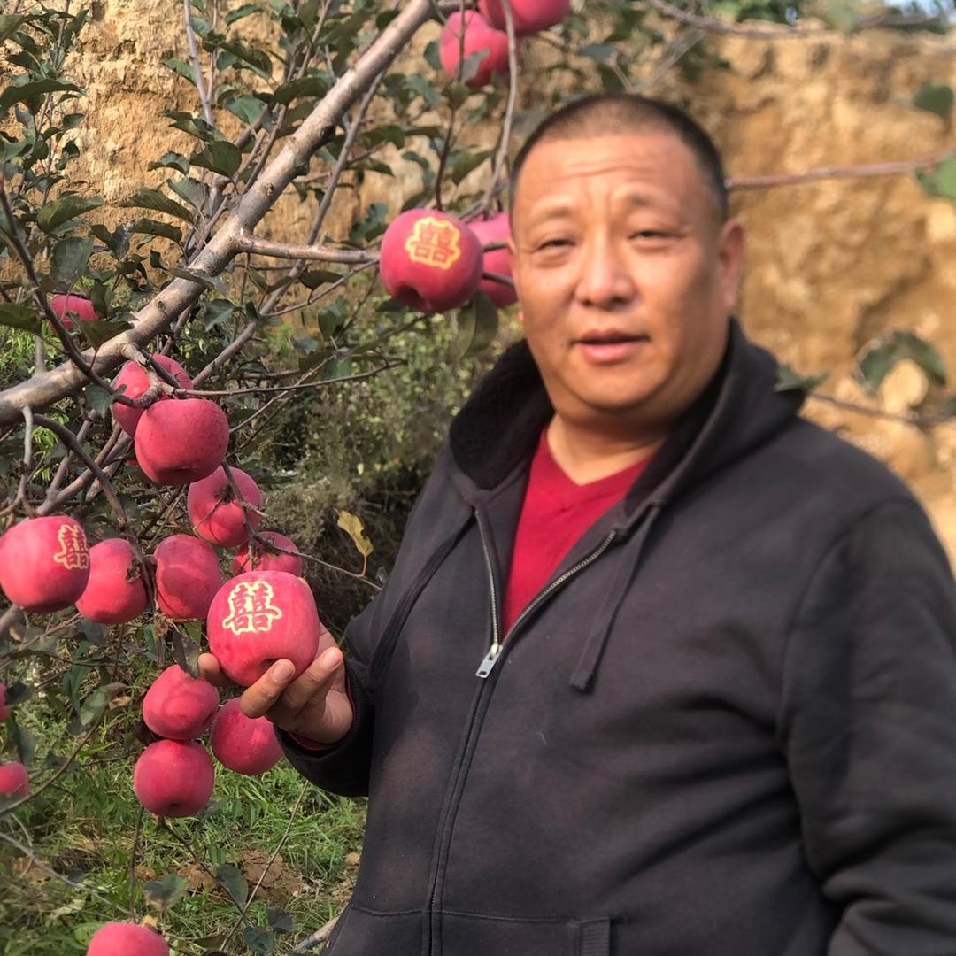 苹果大哥