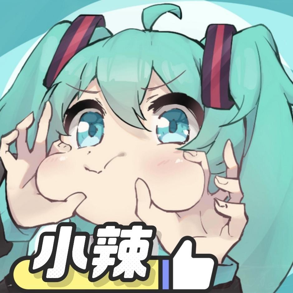 80563295832