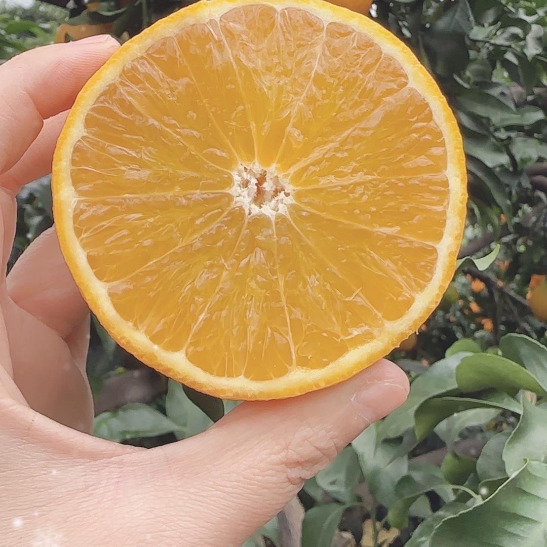 婷婷鲜果铺子