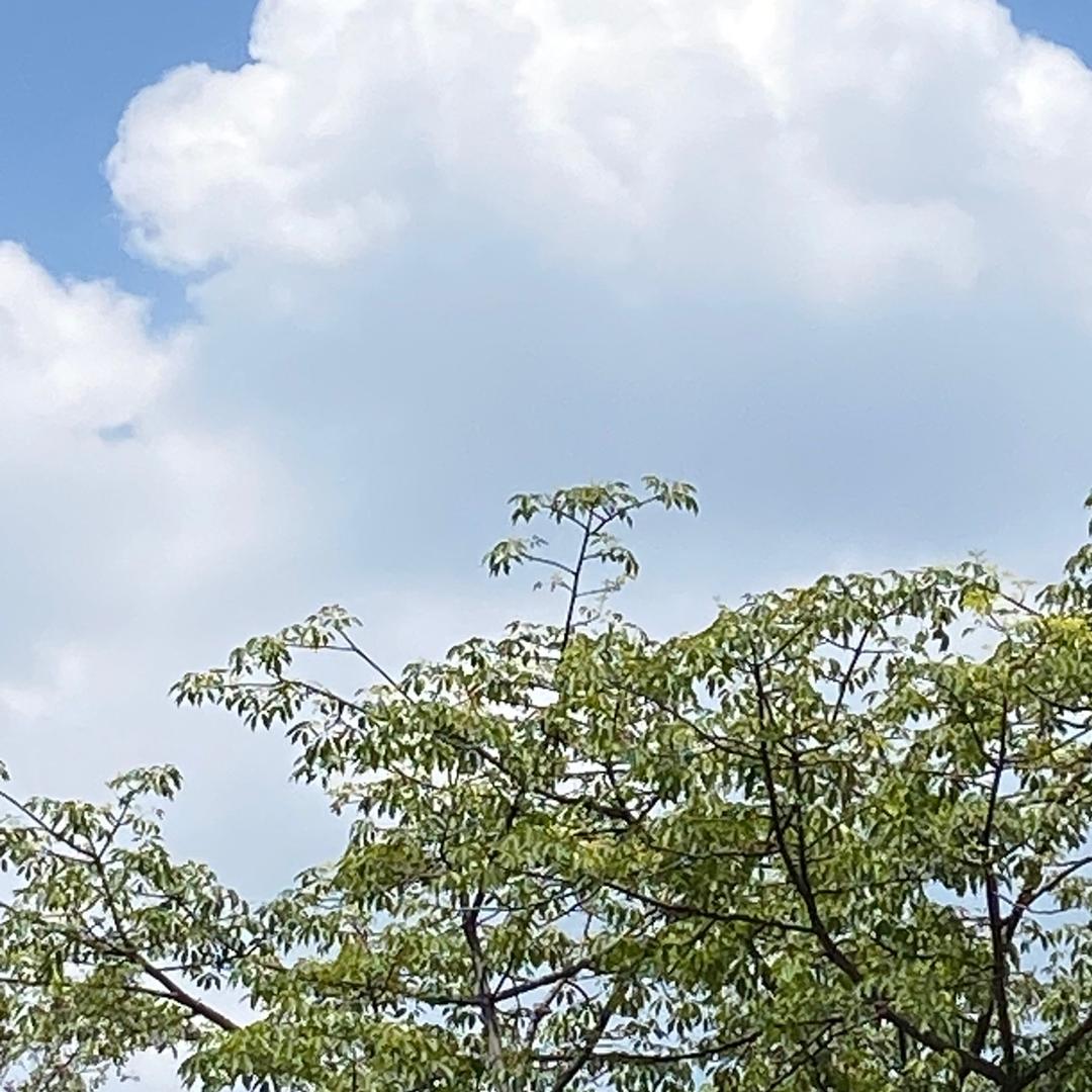 忆往昔峥嵘岁月