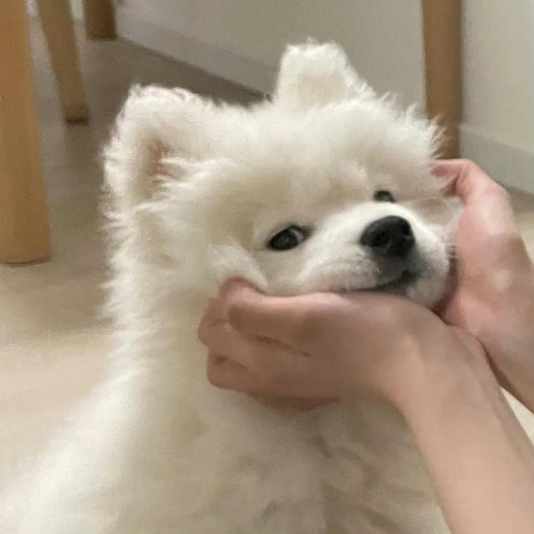 美女今天7很少