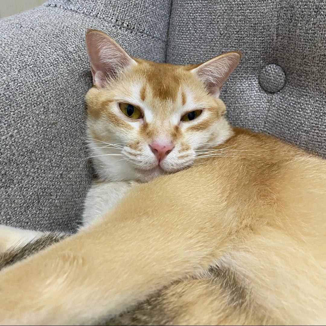 元宝的魔兽世界