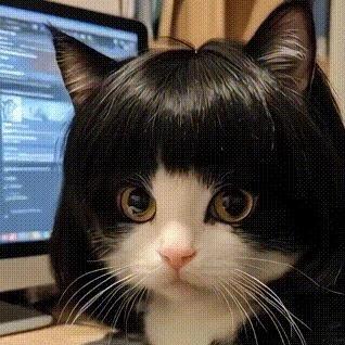 可可服装精选(小个子版）～下午开播✌