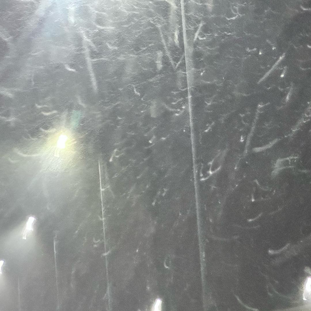 一城烟雨