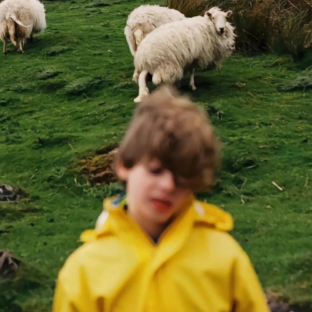 小李爱走路🚶‍➡️