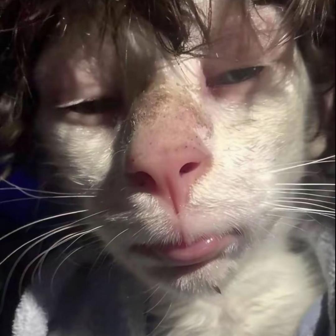 睡衣男孩