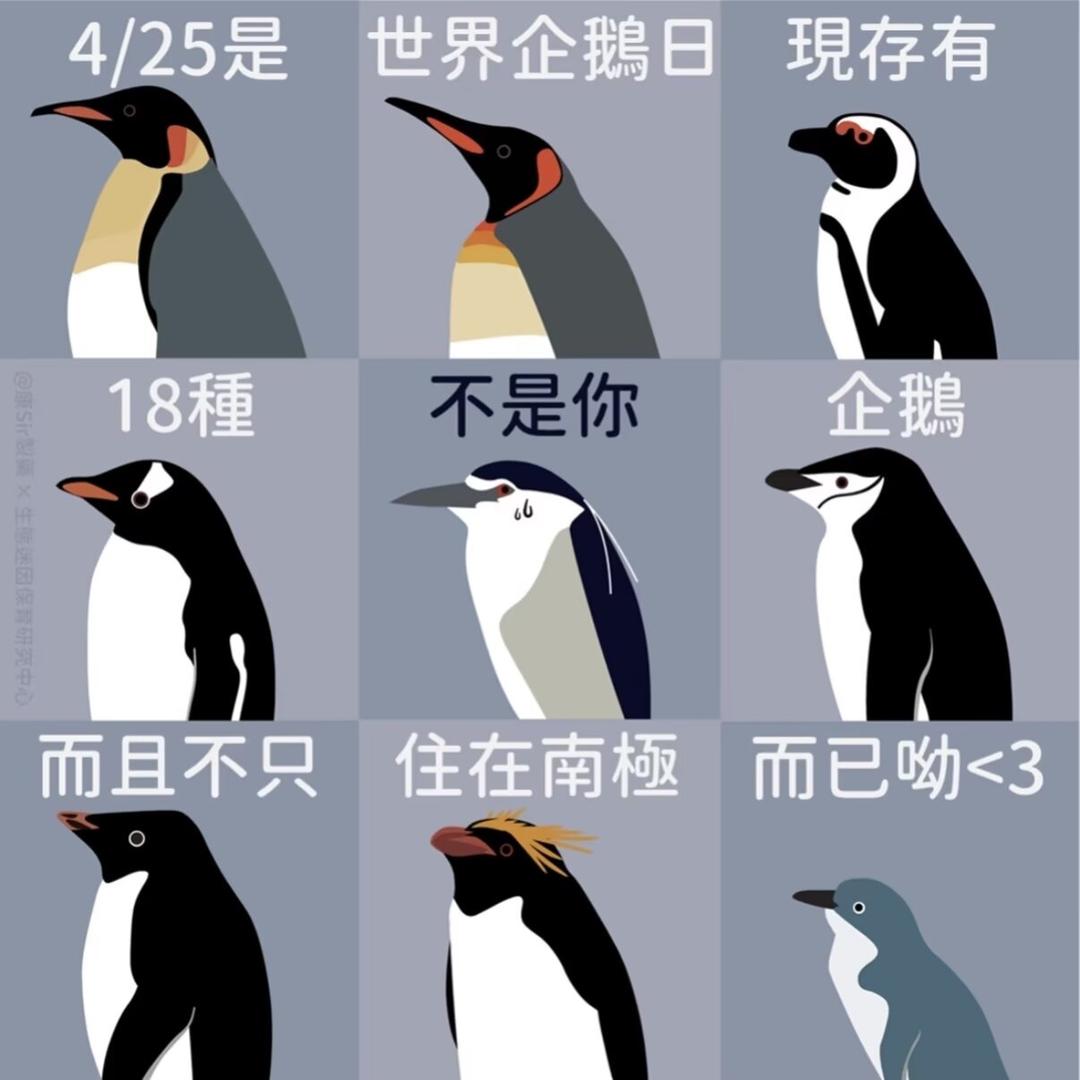 步天歌