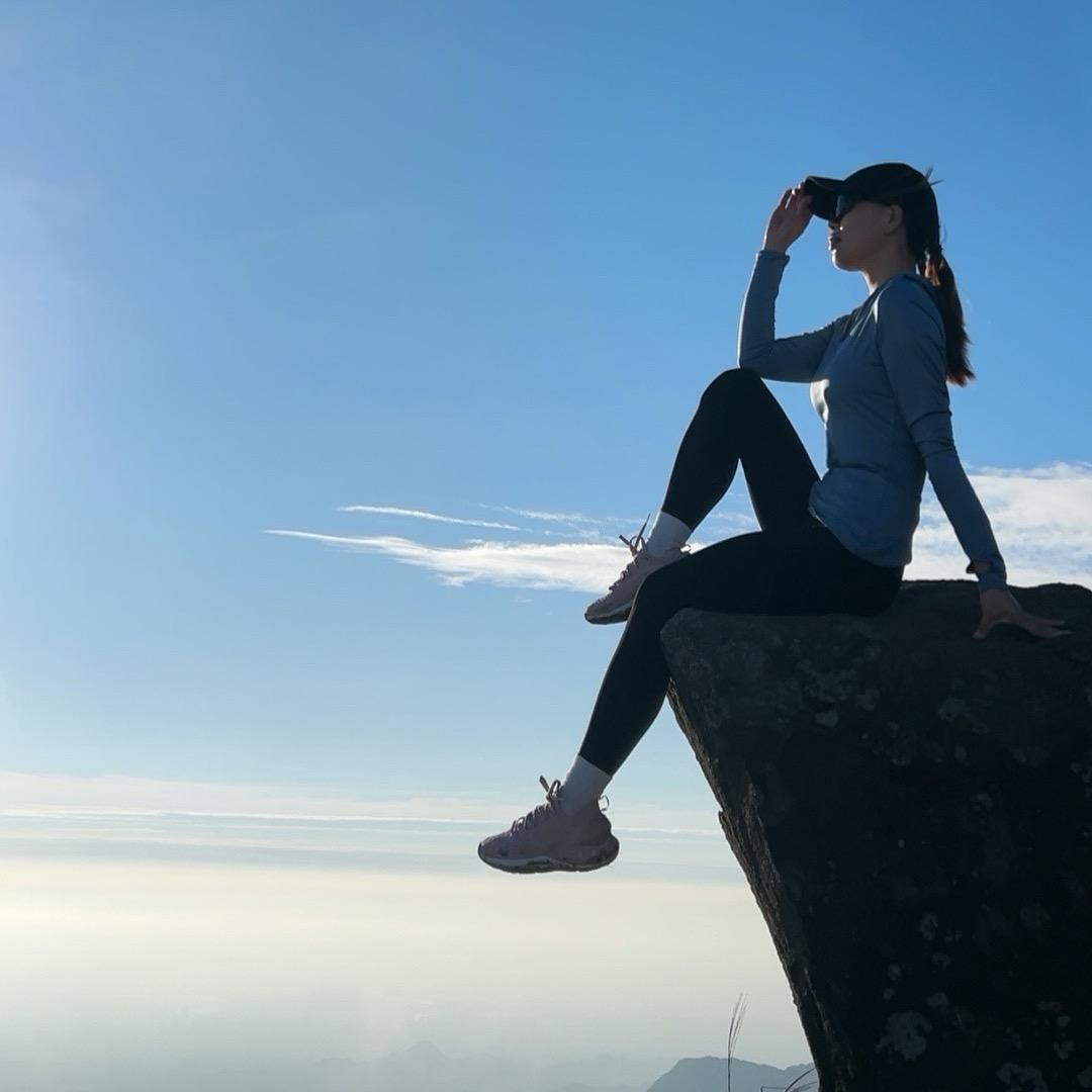 板栗