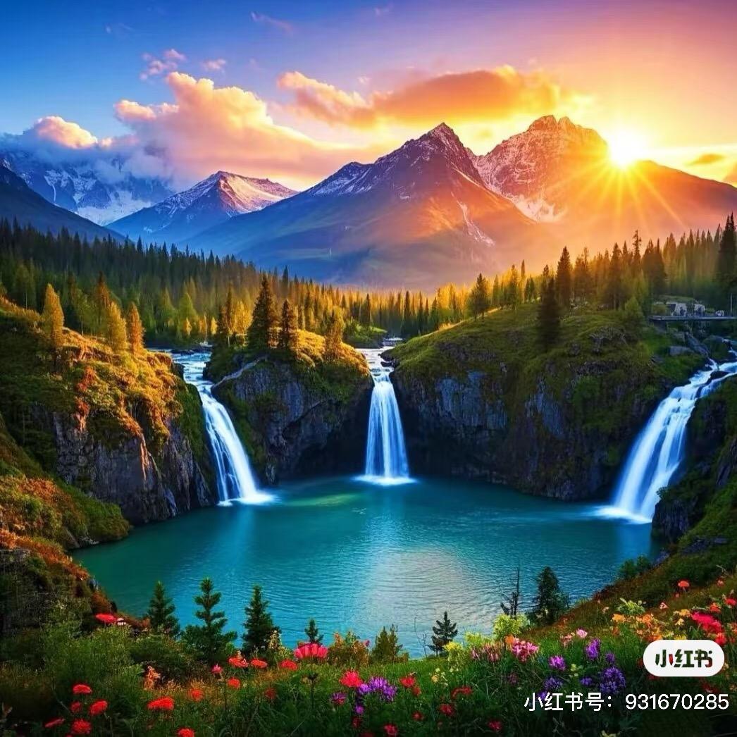 锦鲤加持🐟