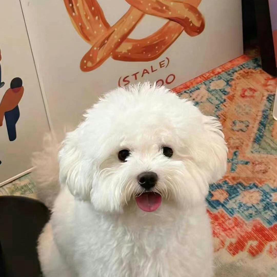 爱吃肉的小祭司