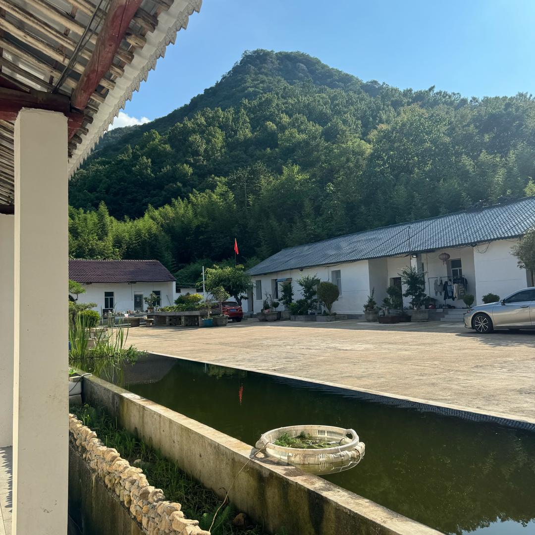 花山水库-地锅菜