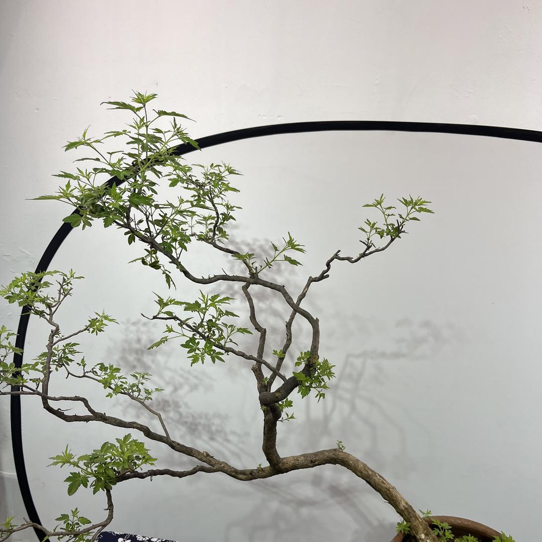 昕龙百货工艺坊