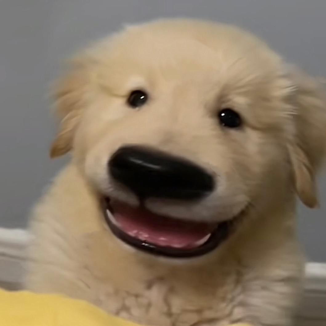 叽里咕噜说啥呢打钱㌫