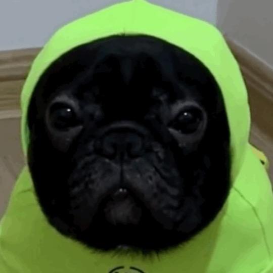 徐雨涵