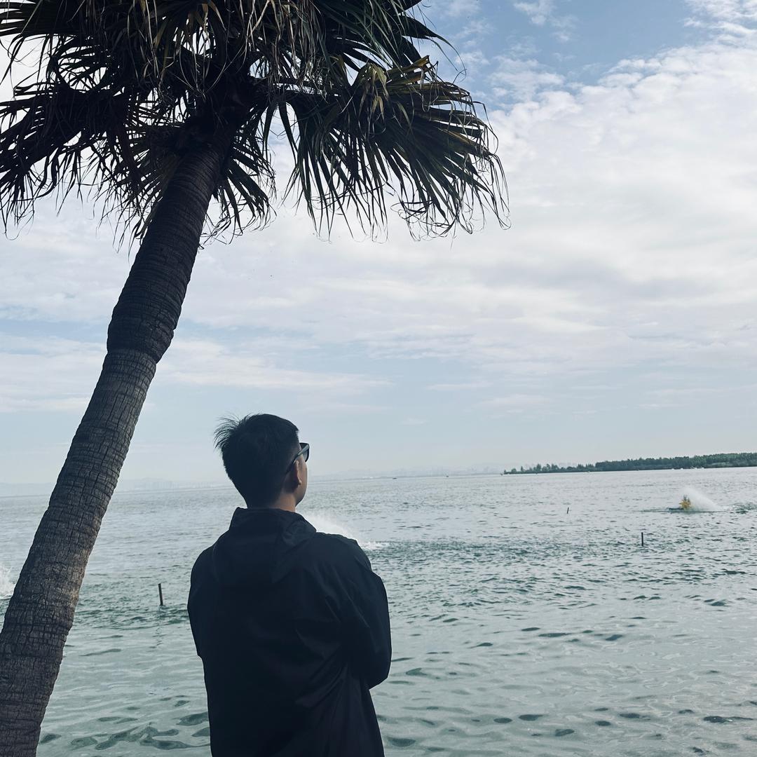 努力的小杨🌅