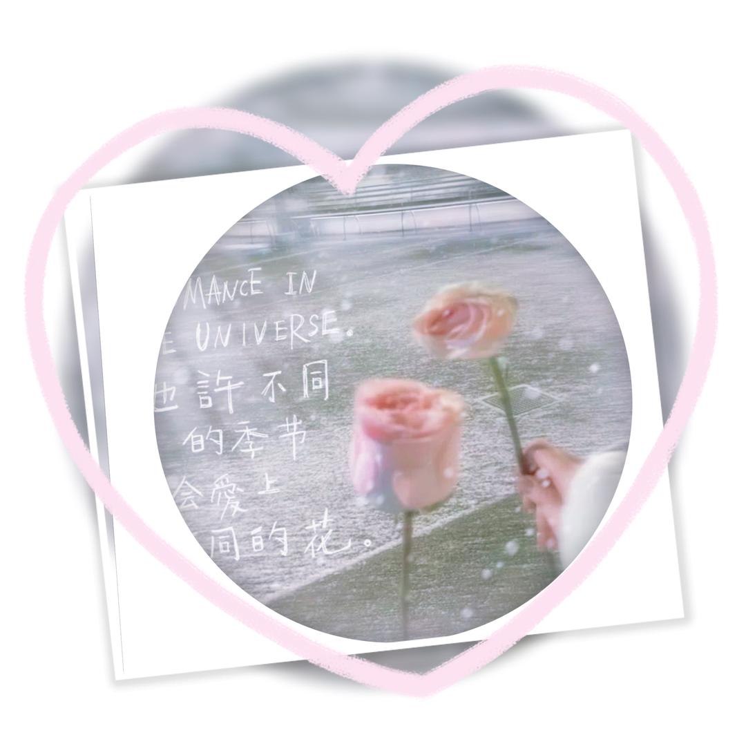 ₂₀₂6๓᭄魏来🕊️可期ɞ᭄💞