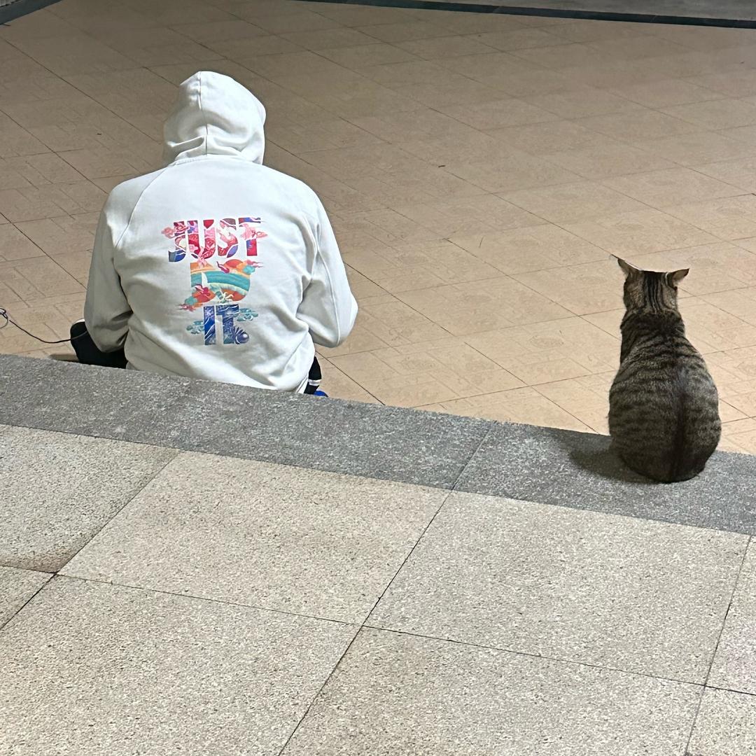 石頭头像