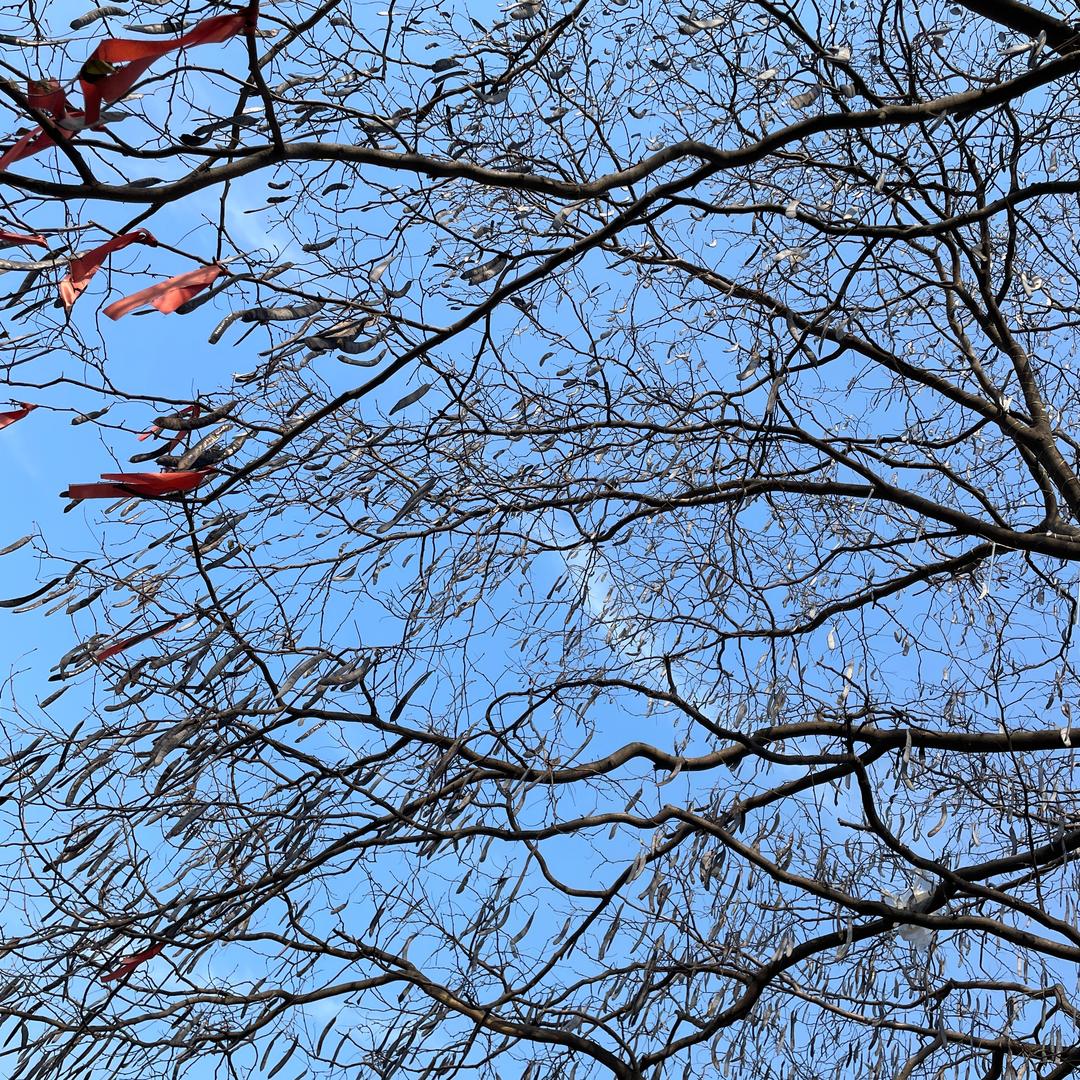 王海宁