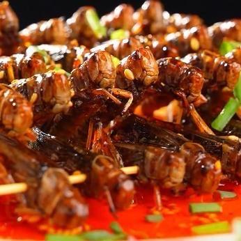 明莱美食直播间