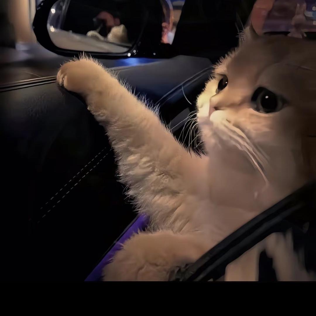 忆甜（见过小刚一次版）