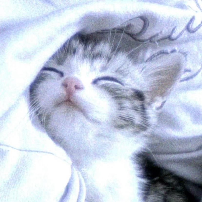 小心派对宝.𝑠𝑚