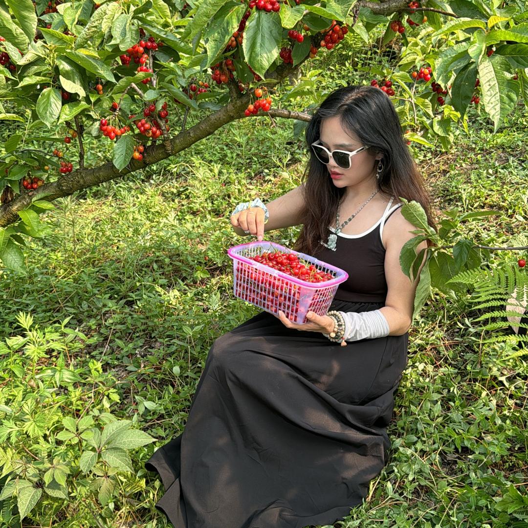 燕子带你吃喝玩乐