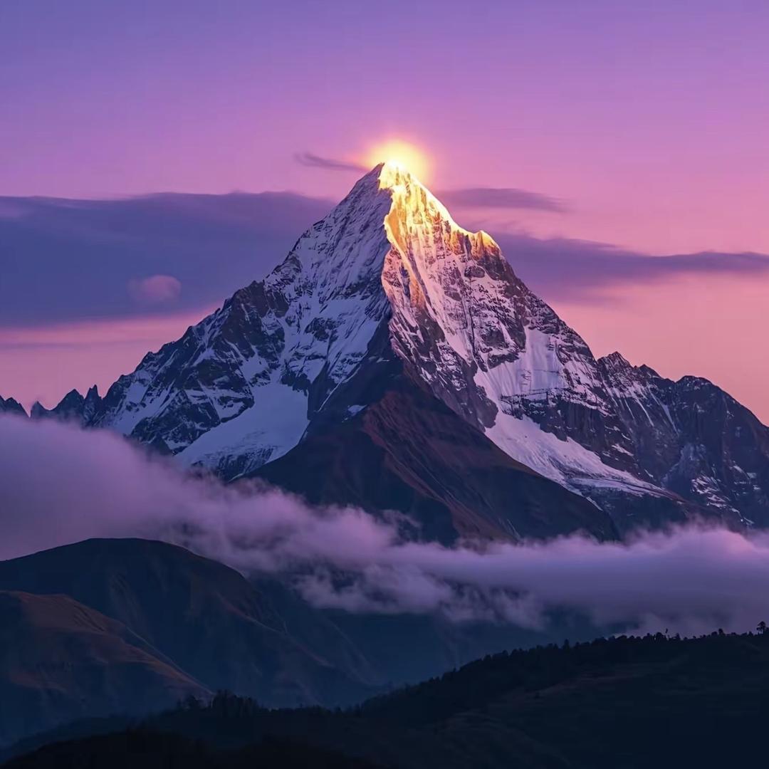 御沧（监管源头）