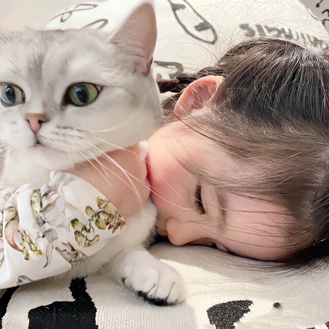 我猫呢_