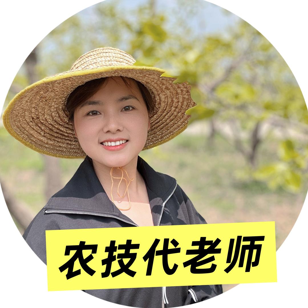 农技代老师
