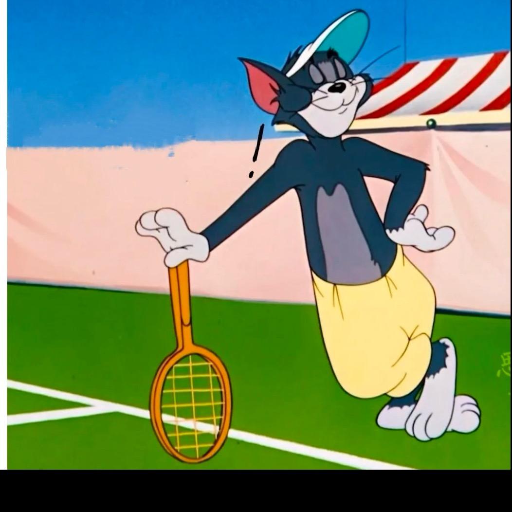 会飞的大象🏸