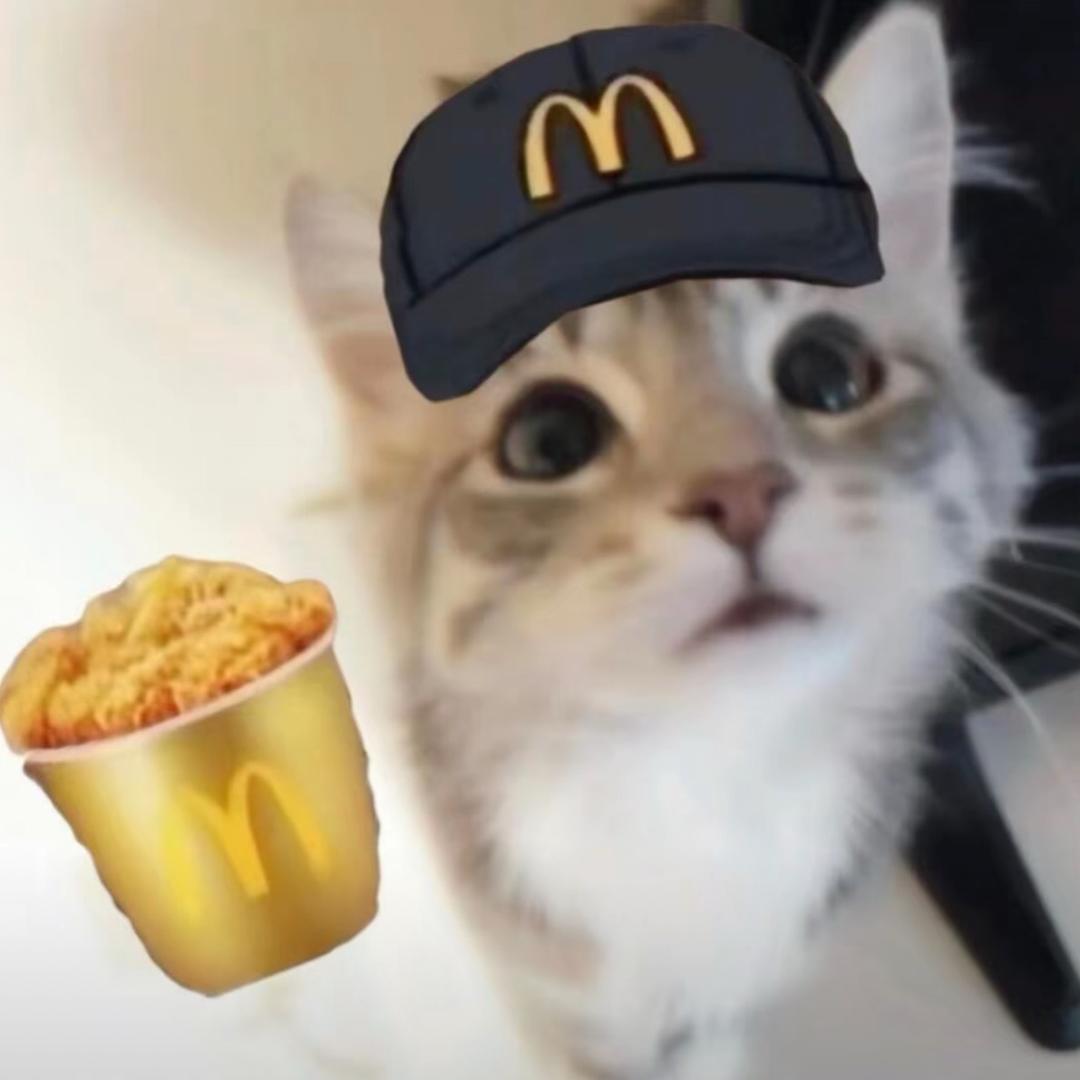 .  。.