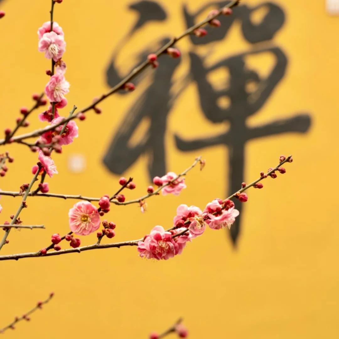 修行修心