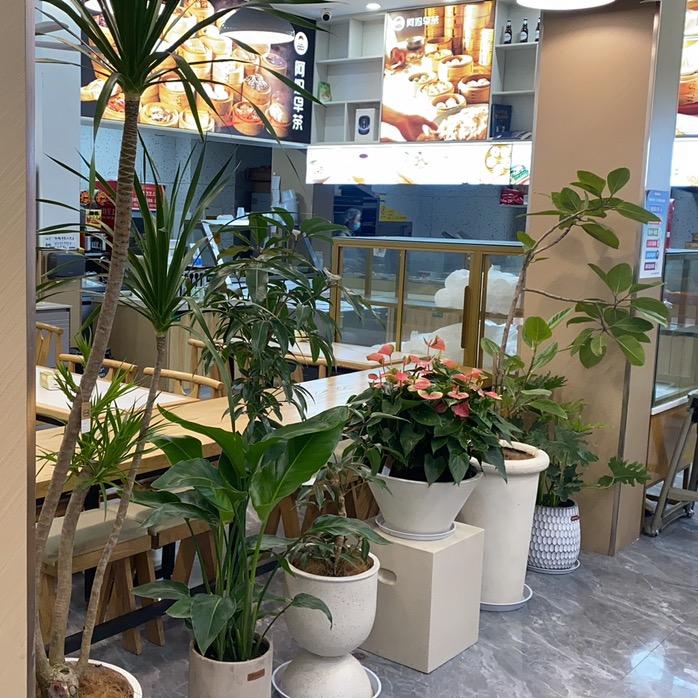 响水县响水镇阿妈早茶店