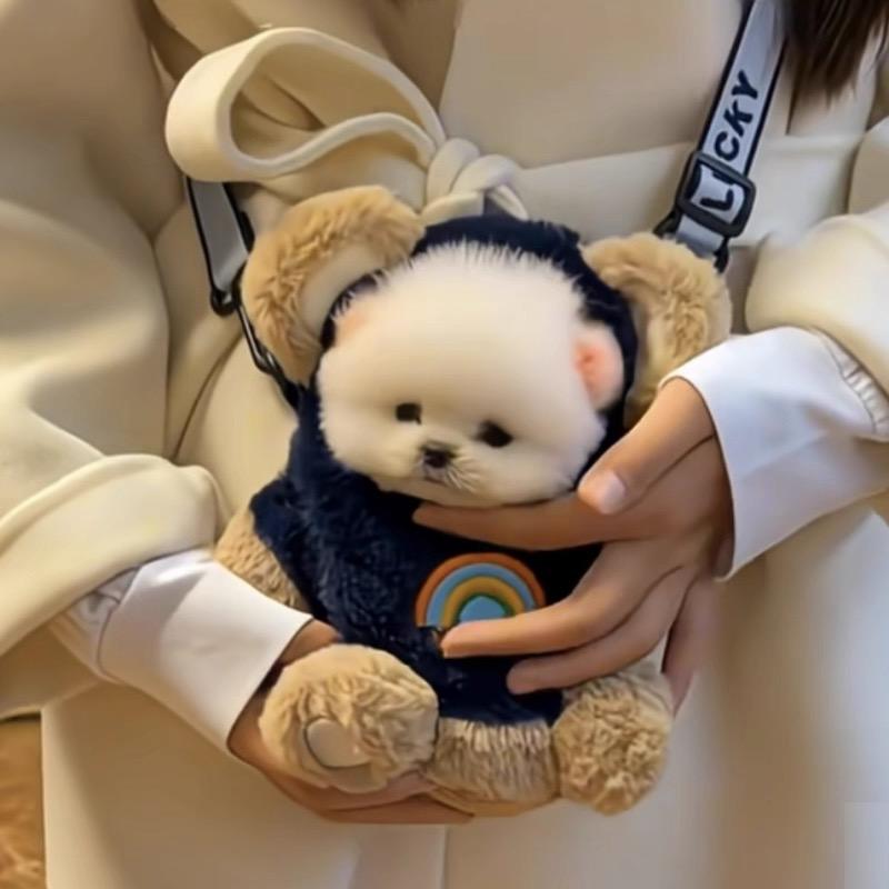 一人一车一狗