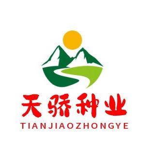 天骄种业草花种子基地直销