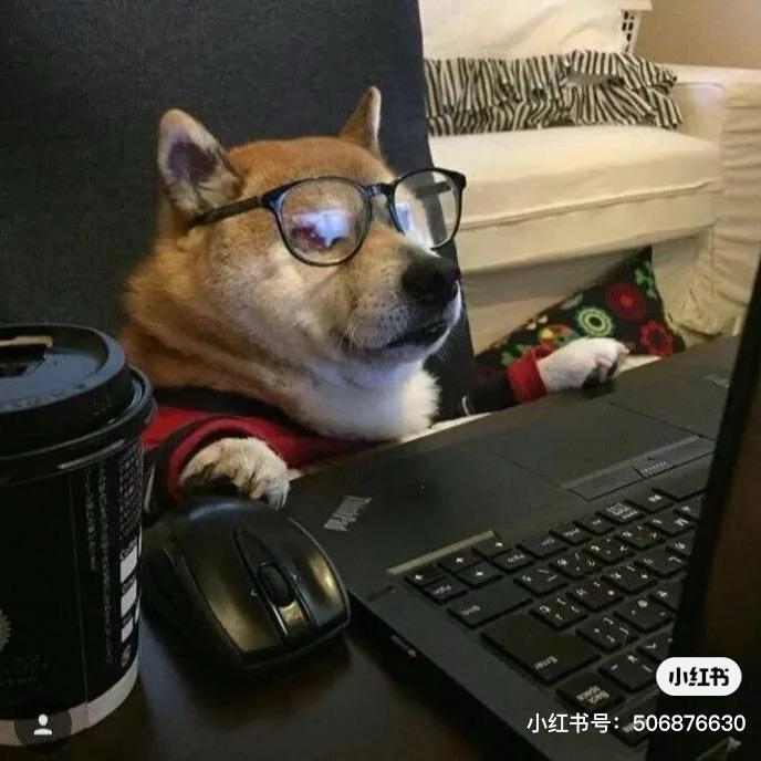 伊始