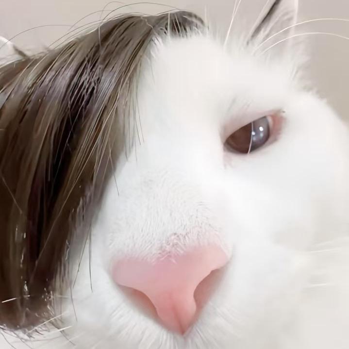 小仱