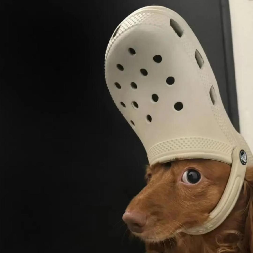 中古摄影胶片交流中心