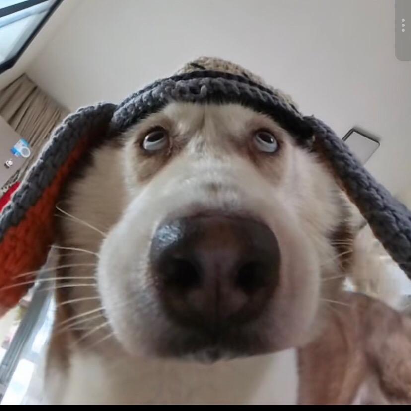 略略略