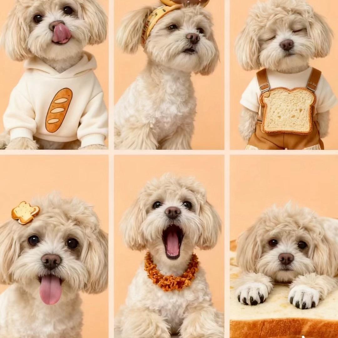 团团吃饱打豆豆