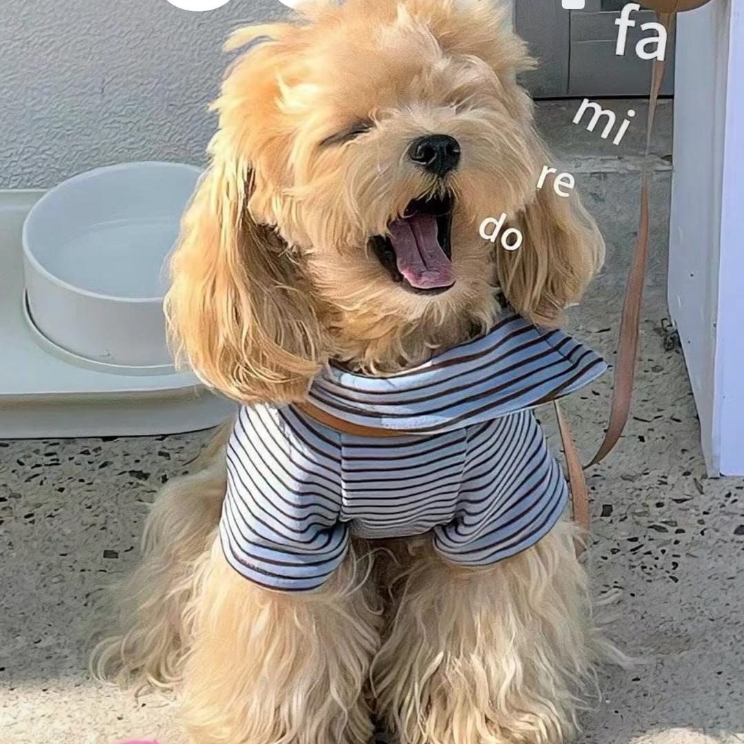 小耳朵👂